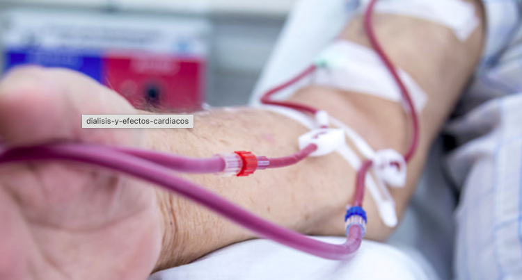 Screenshot 2025-07-23 at 9.13.11 AM